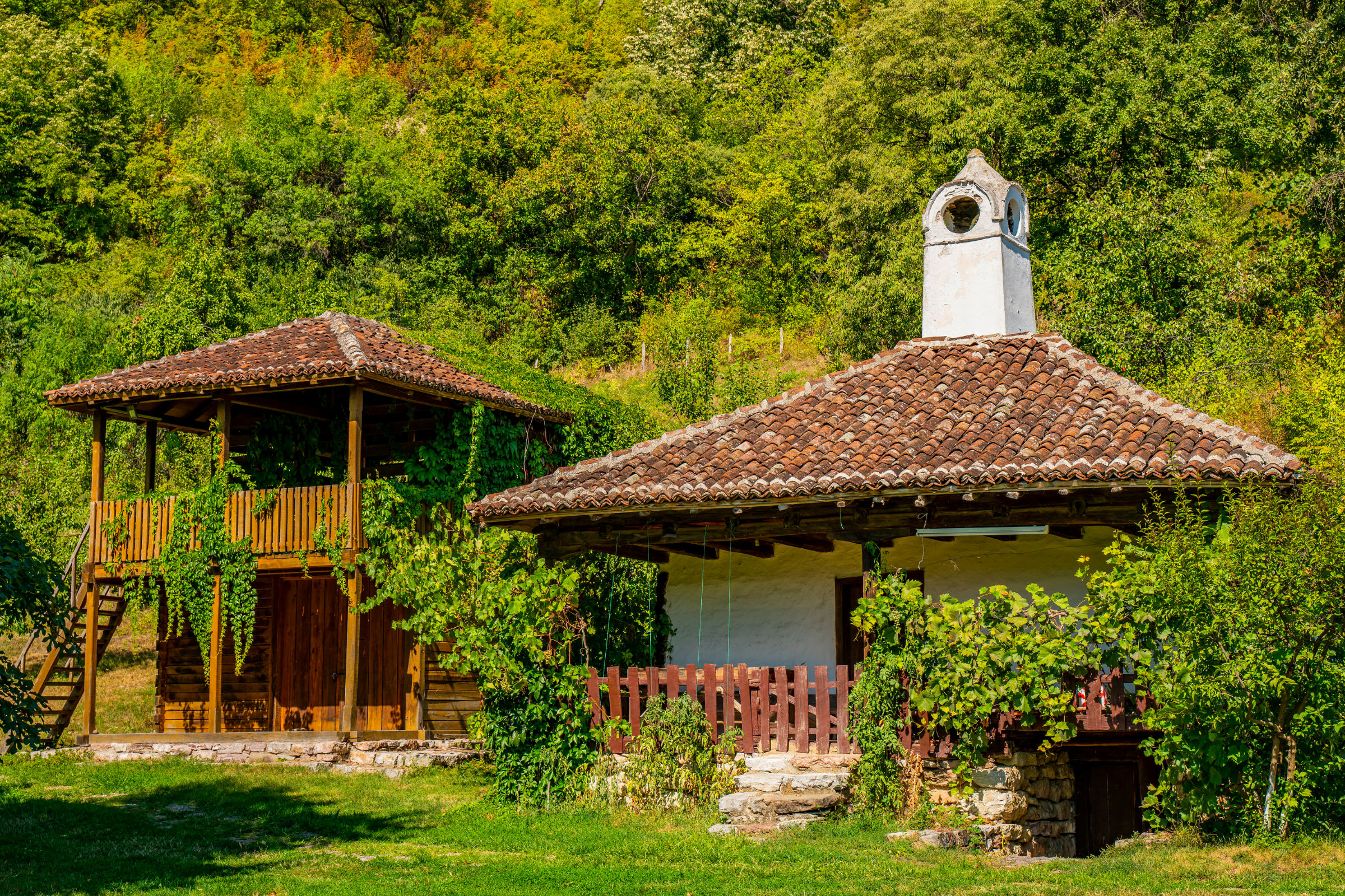 lepenski vir archeological site (3).webp